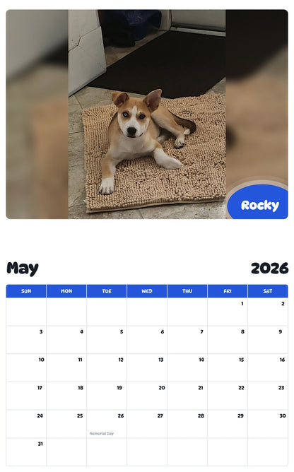 2026 - 2027 Rocky - Pawidols Pet Calendar