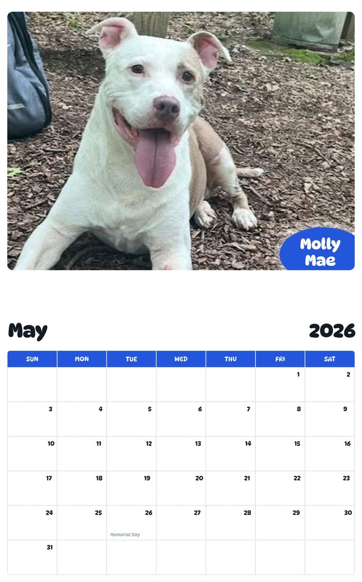 2026 - 2027 Molly Mae - Pawidols Pet Calendar
