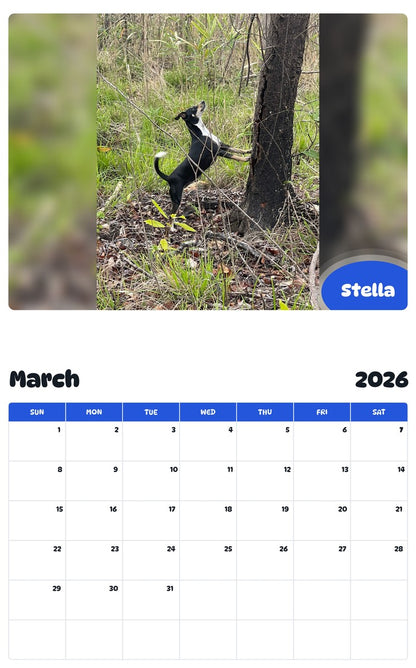 November 2025 - October 2026 Stella - Pawidols Pet Calendar