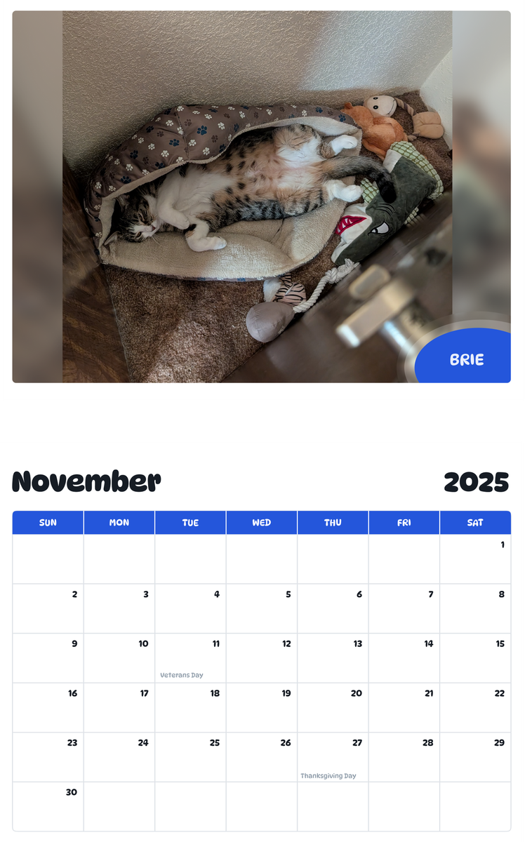 July 2025 - June 2026 Brie - Pawidols Pet Calendar