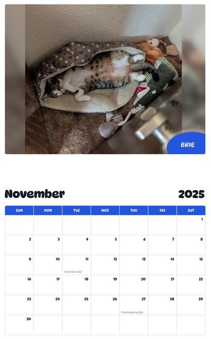 July 2025 - June 2026 Brie - Pawidols Pet Calendar