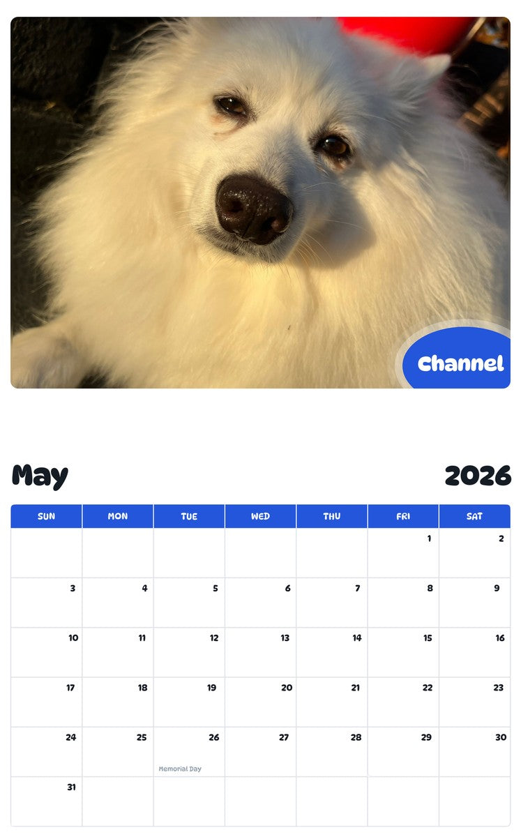 2026 - 2027 Channel - Pawidols Pet Calendar