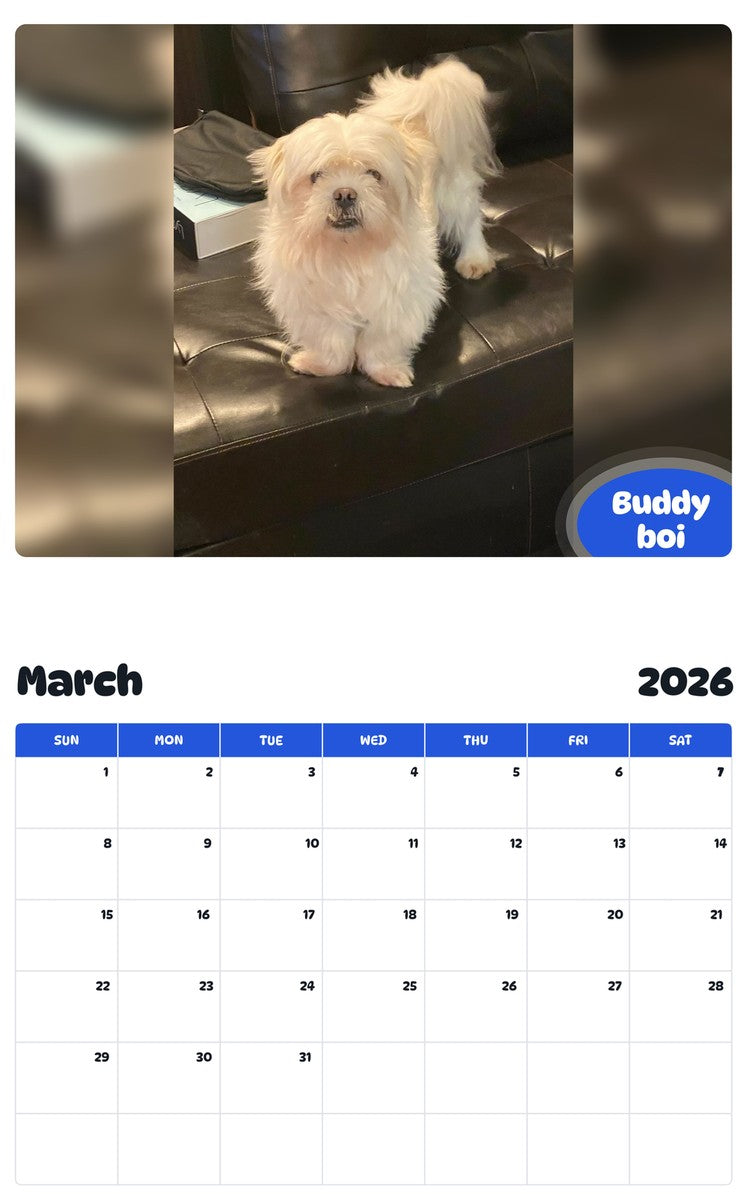 November 2025 - October 2026 Buddy boi - Pawidols Pet Calendar