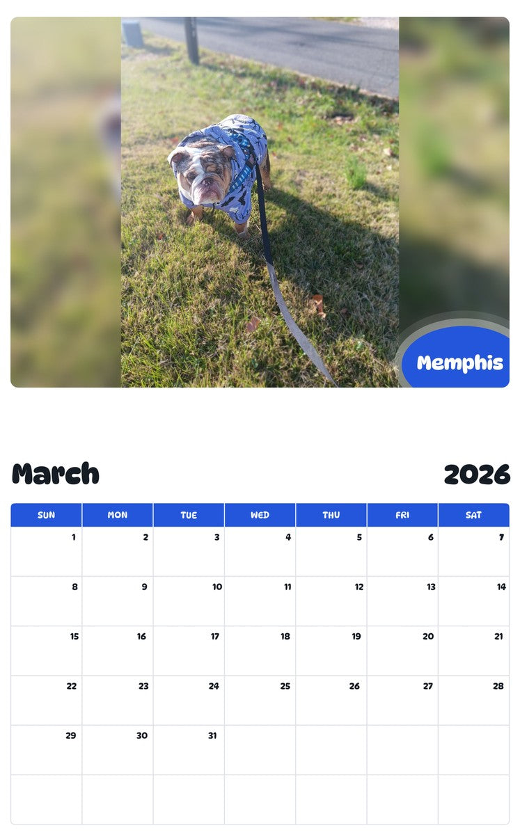 November 2025 - October 2026 Memphis - Pawidols Pet Calendar