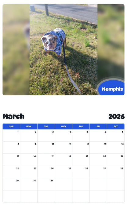 November 2025 - October 2026 Memphis - Pawidols Pet Calendar