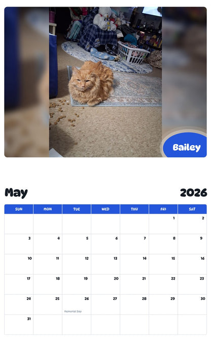 2026 - 2027 Bailey - Pawidols Pet Calendar