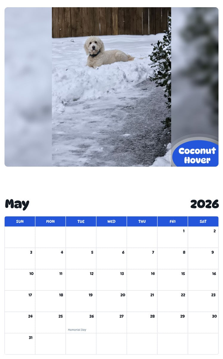 2026 - 2027 Coconut Hover - Pawidols Pet Calendar