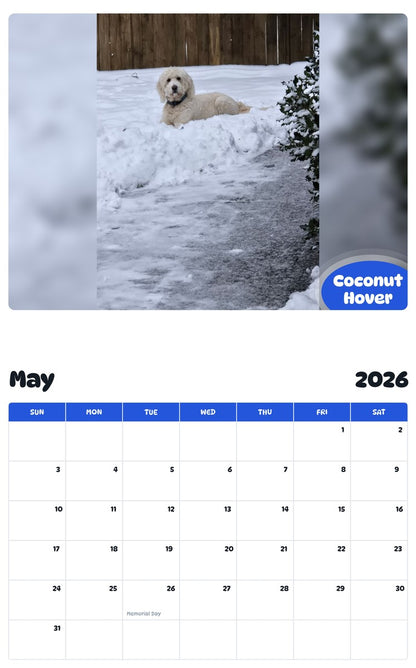 2026 - 2027 Coconut Hover - Pawidols Pet Calendar