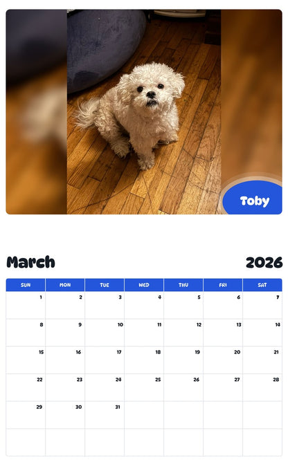 November 2025 - October 2026 Toby - Pawidols Pet Calendar