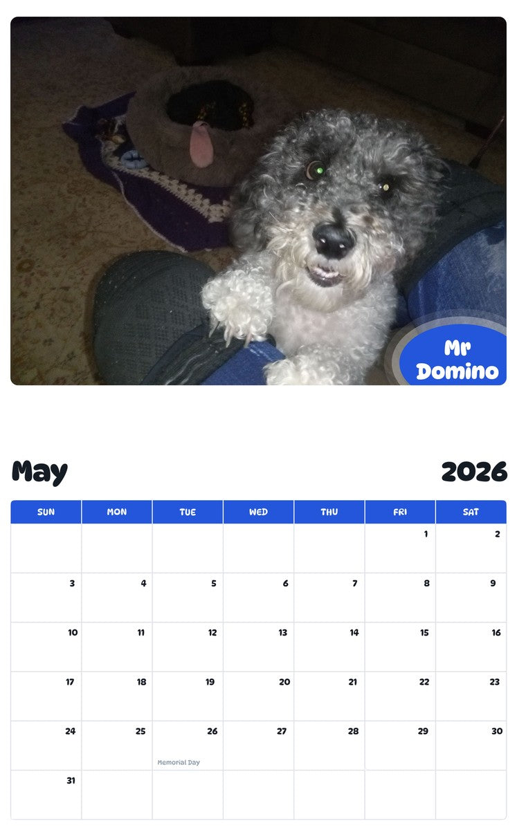 2026 - 2027 Mr Domino - Pawidols Pet Calendar