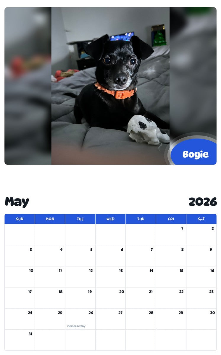 2026 - 2027 Bogie - Pawidols Pet Calendar