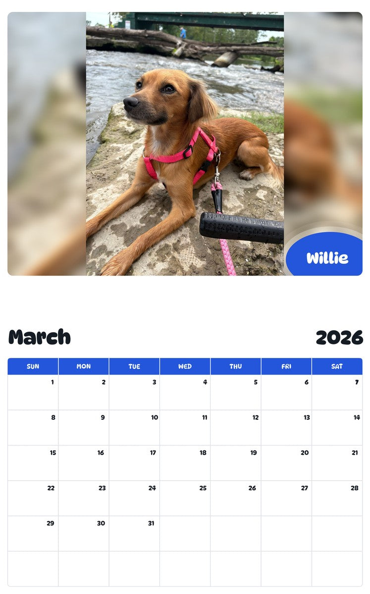 November 2025 - October 2026 Willie - Pawidols Pet Calendar
