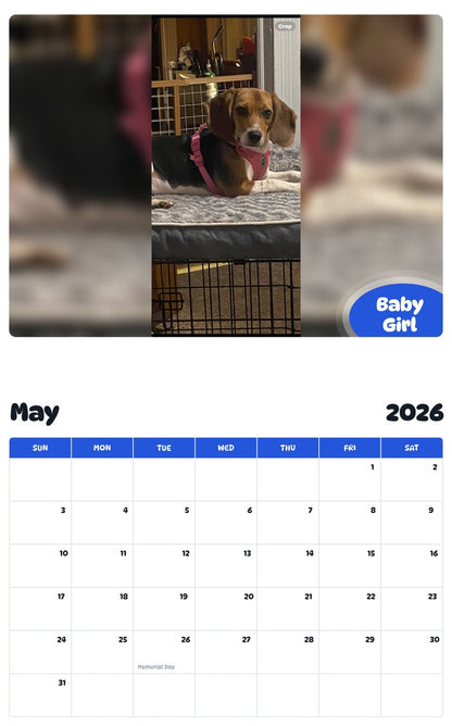 2026 - 2027 Baby Girl - Pawidols Pet Calendar