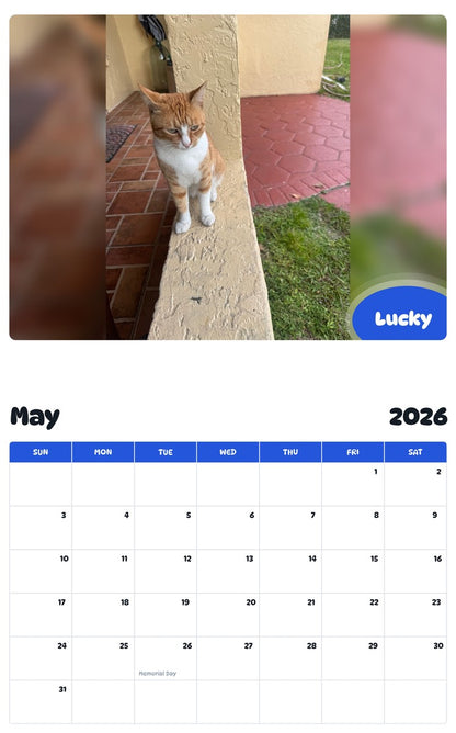 2026 - 2027 Lucky - Pawidols Pet Calendar