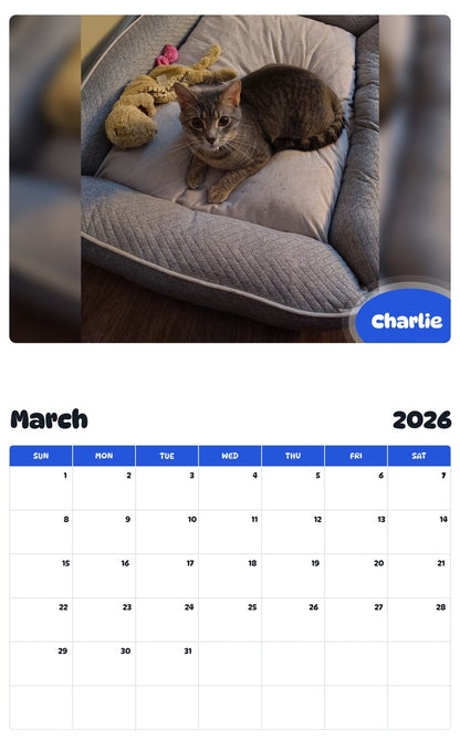 November 2025 - October 2026 Charlie - Pawidols Pet Calendar