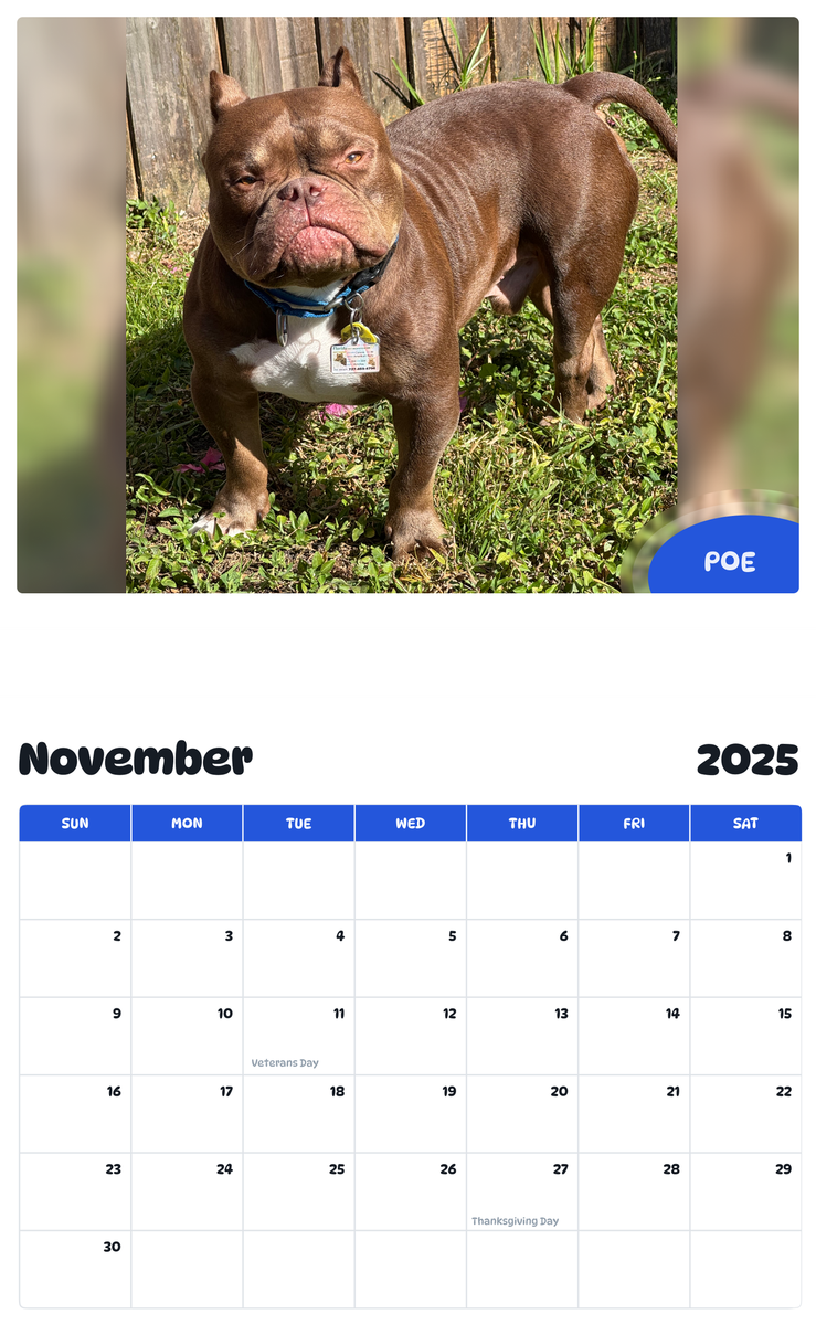 July 2025 - June 2026 Poe - Pawidols Pet Calendar