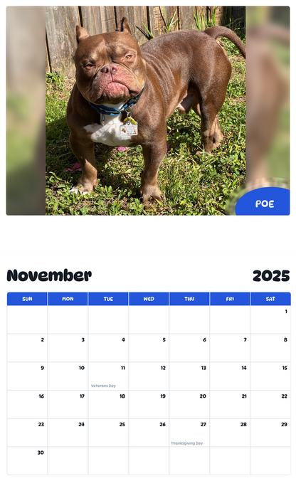 July 2025 - June 2026 Poe - Pawidols Pet Calendar