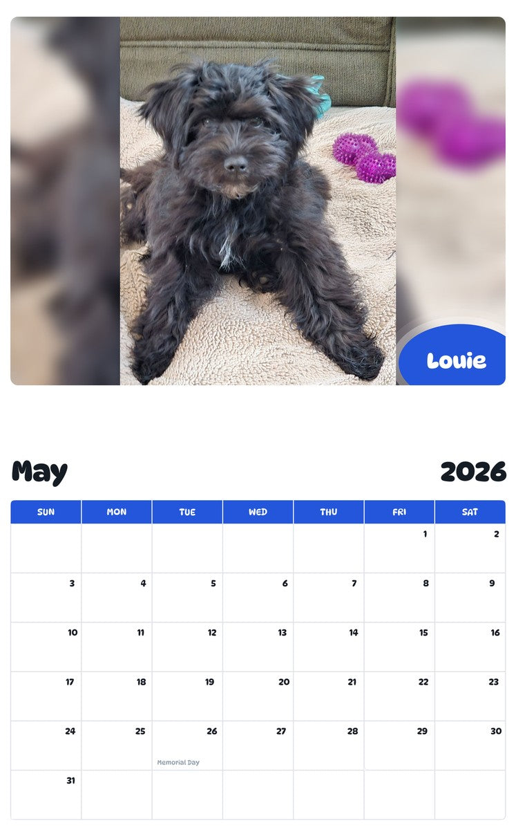 2026 - 2027 Louie - Pawidols Pet Calendar