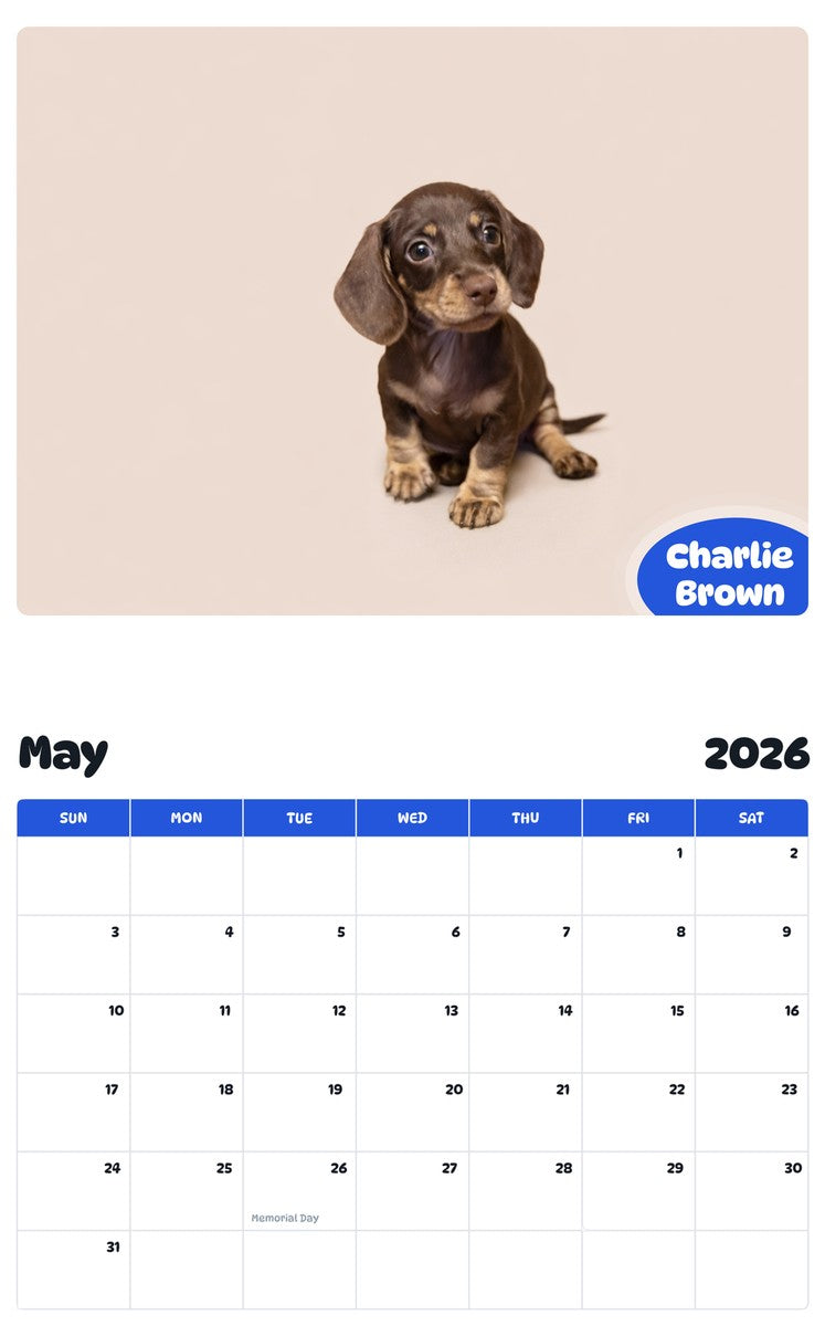 2026 - 2027 Charlie Brown - Pawidols Pet Calendar