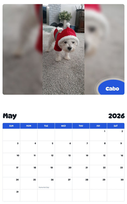 2026 - 2027 Cabo - Pawidols Pet Calendar