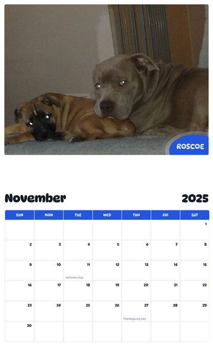 July 2025 - June 2026 Roscoe - Pawidols Pet Calendar
