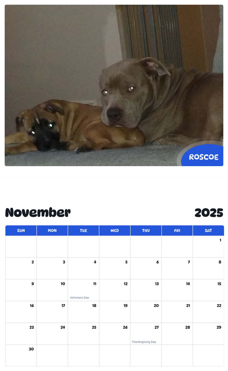 July 2025 - June 2026 Roscoe - Pawidols Pet Calendar