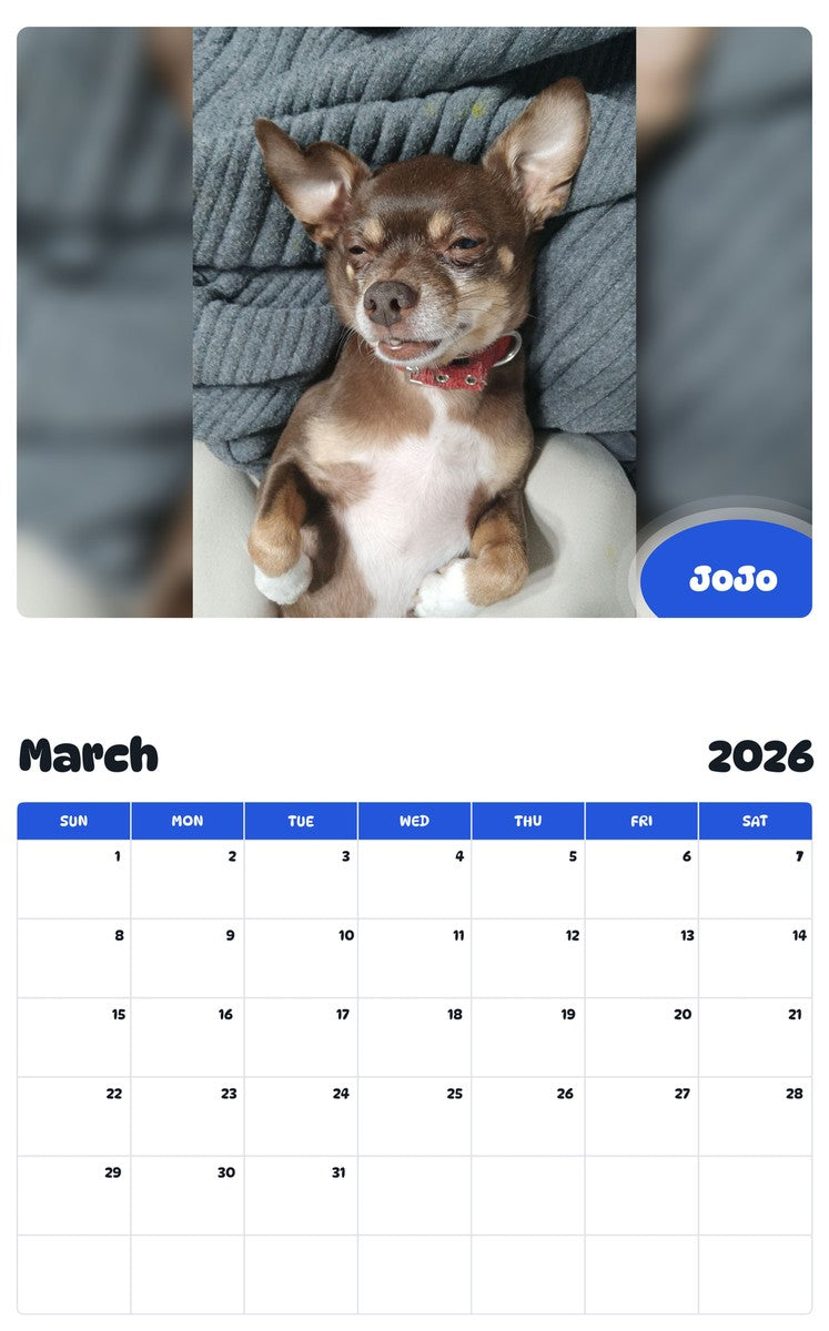November 2025 - October 2026 JoJo - Pawidols Pet Calendar