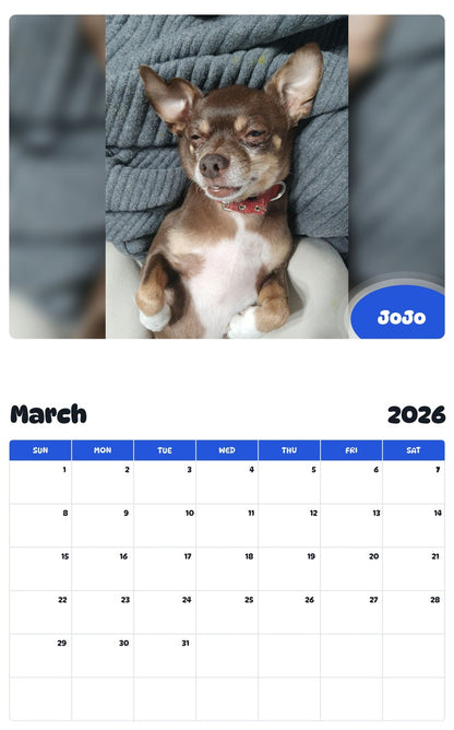 November 2025 - October 2026 JoJo - Pawidols Pet Calendar