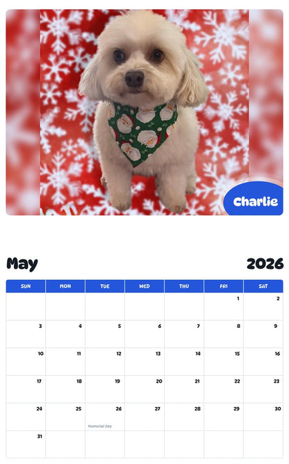 2026 - 2027 Charlie - Pawidols Pet Calendar