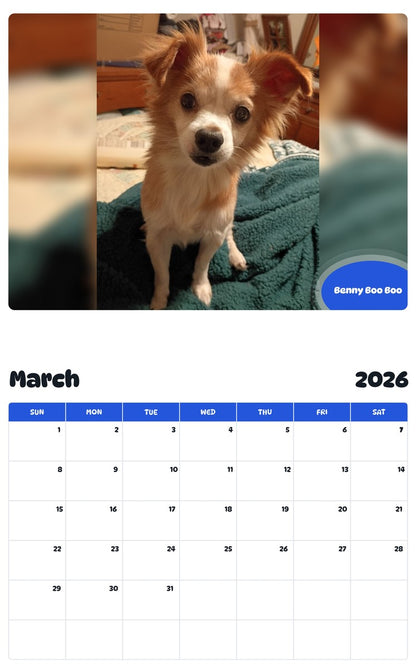 November 2025 - October 2026 Benny Boo Boo - Pawidols Pet Calendar