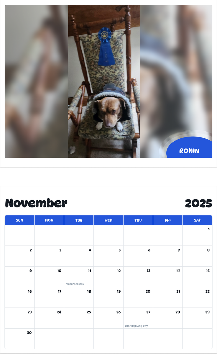 July 2025 - June 2026 Ronin - Pawidols Pet Calendar