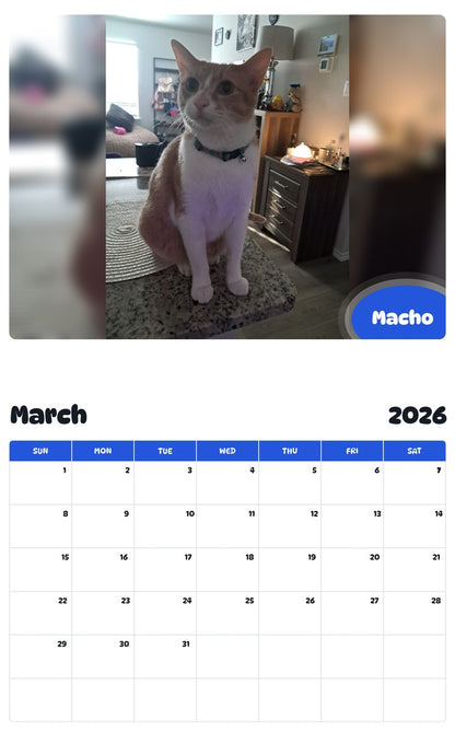 November 2025 - October 2026 Macho - Pawidols Pet Calendar
