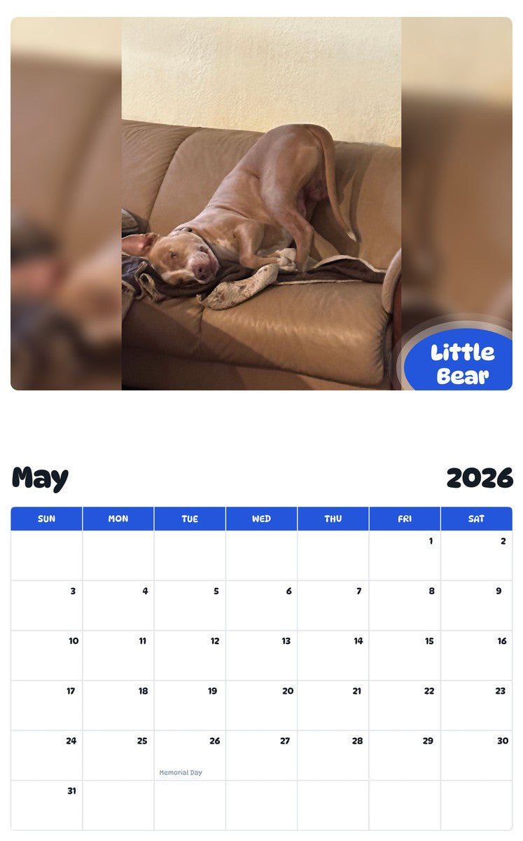 2026 - 2027 Little Bear - Pawidols Pet Calendar