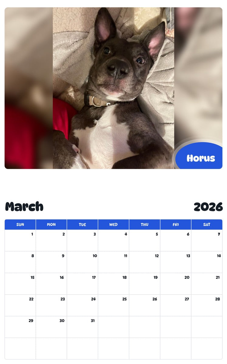 November 2025 - October 2026 Horus - Pawidols Pet Calendar