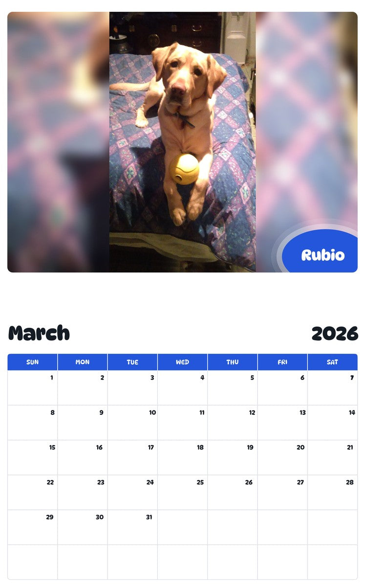 November 2025 - October 2026 Rubio - Pawidols Pet Calendar