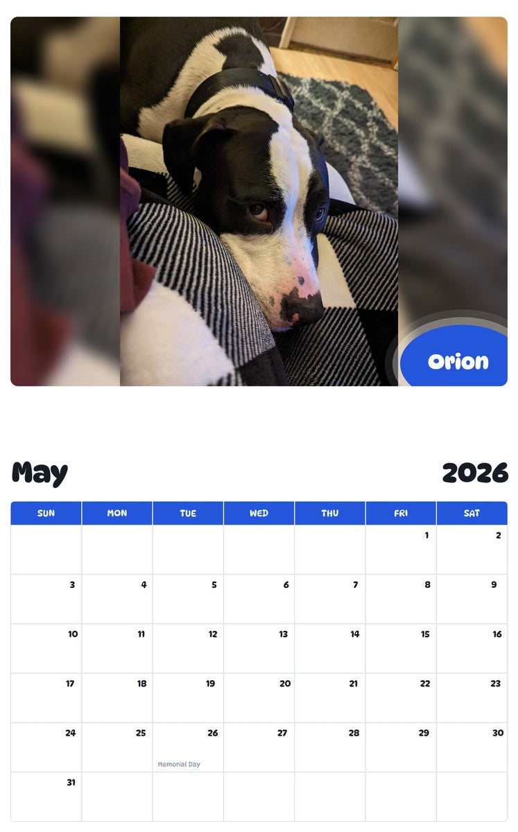 2026 - 2027 Orion - Pawidols Pet Calendar