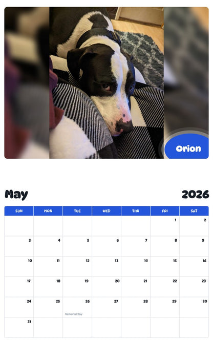 2026 - 2027 Orion - Pawidols Pet Calendar