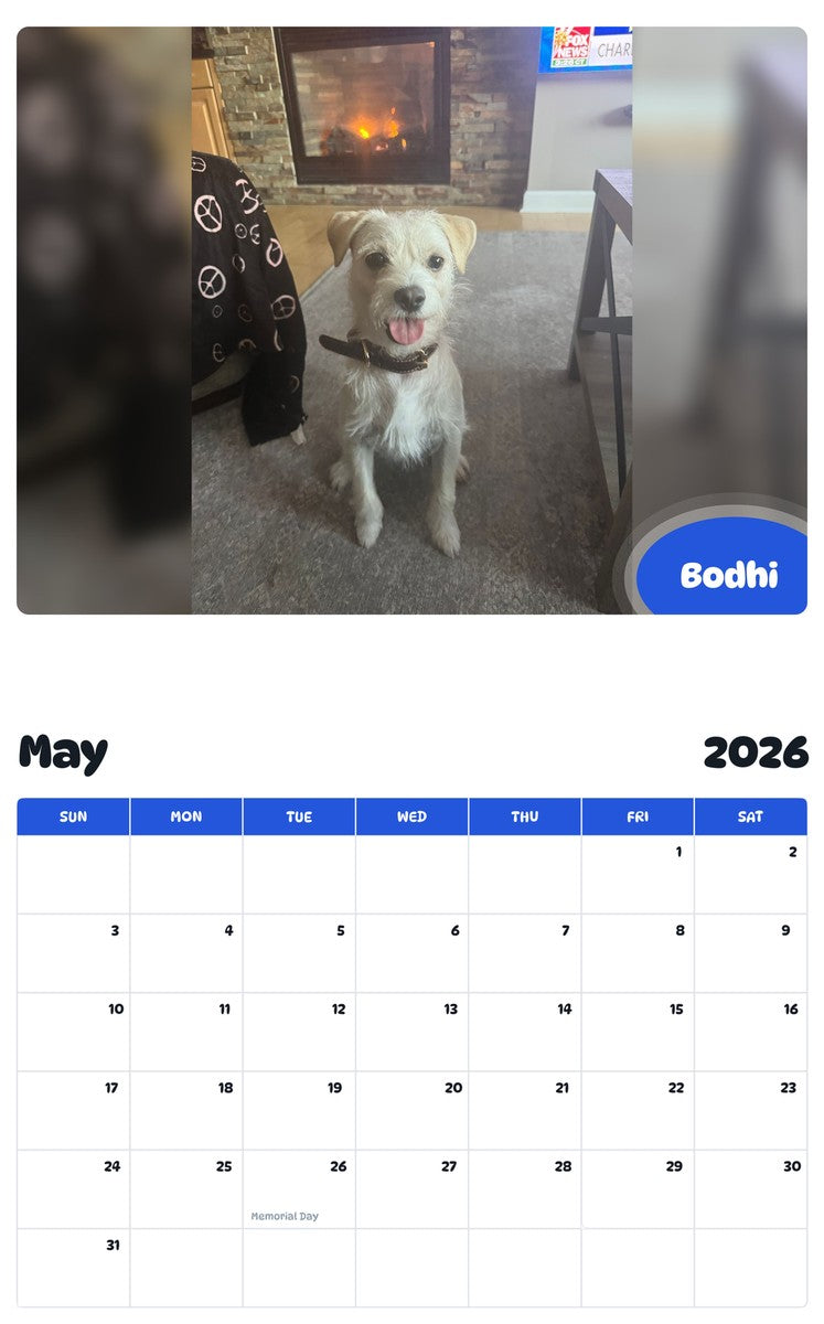 2026 - 2027 Bodhi - Pawidols Pet Calendar