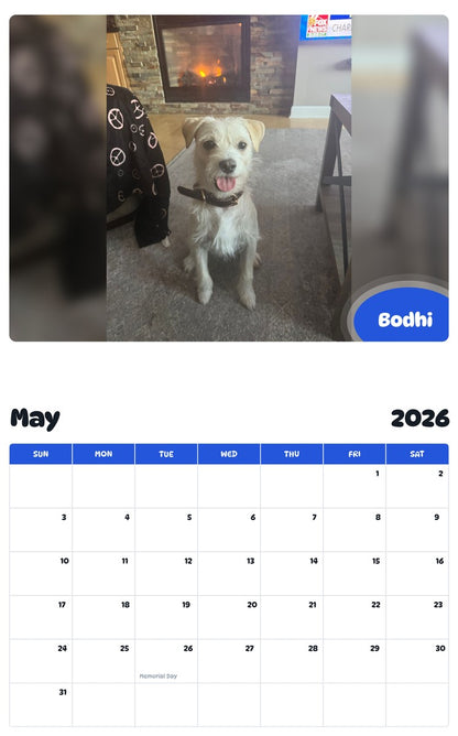 2026 - 2027 Bodhi - Pawidols Pet Calendar