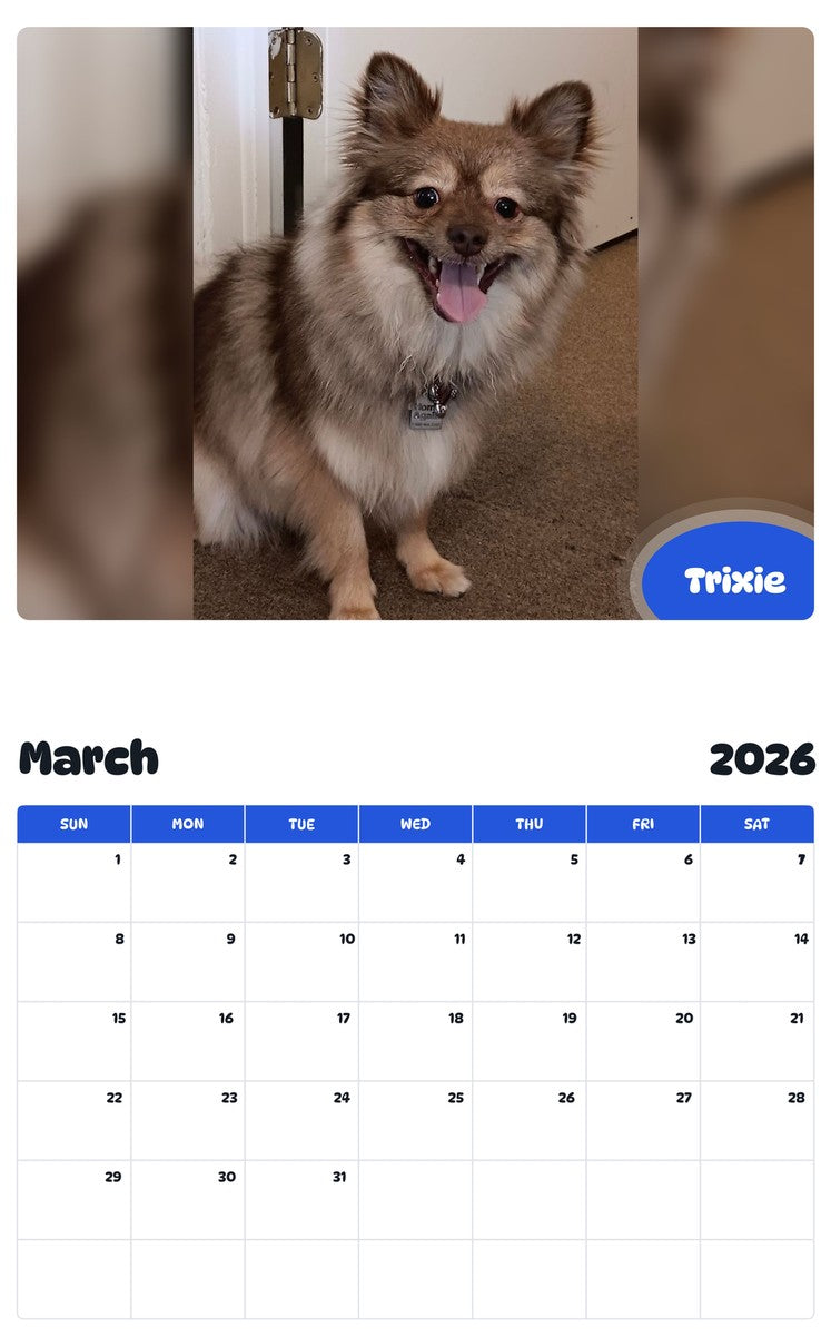 November 2025 - October 2026 Trixie - Pawidols Pet Calendar