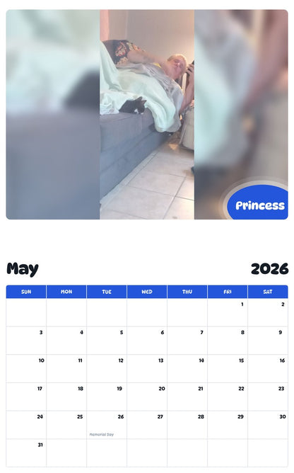 2026 - 2027 Princess - Pawidols Pet Calendar