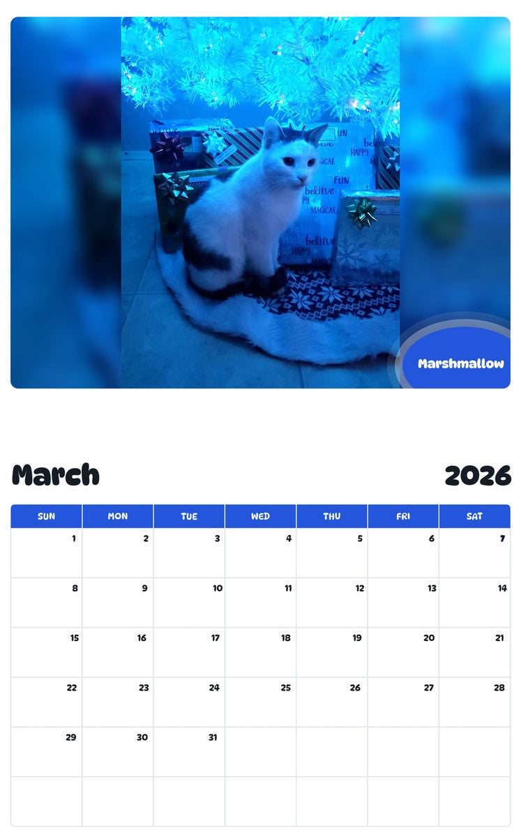 November 2025 - October 2026 Marshmallow - Pawidols Pet Calendar