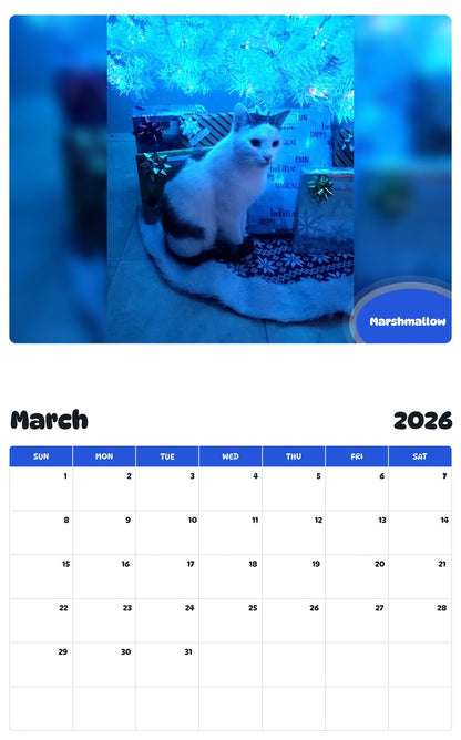 November 2025 - October 2026 Marshmallow - Pawidols Pet Calendar