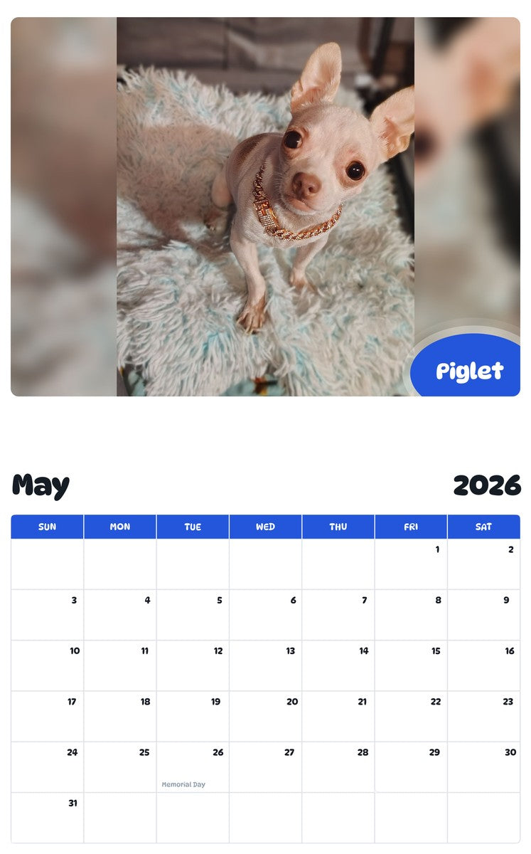 2026 - 2027 Piglet - Pawidols Pet Calendar