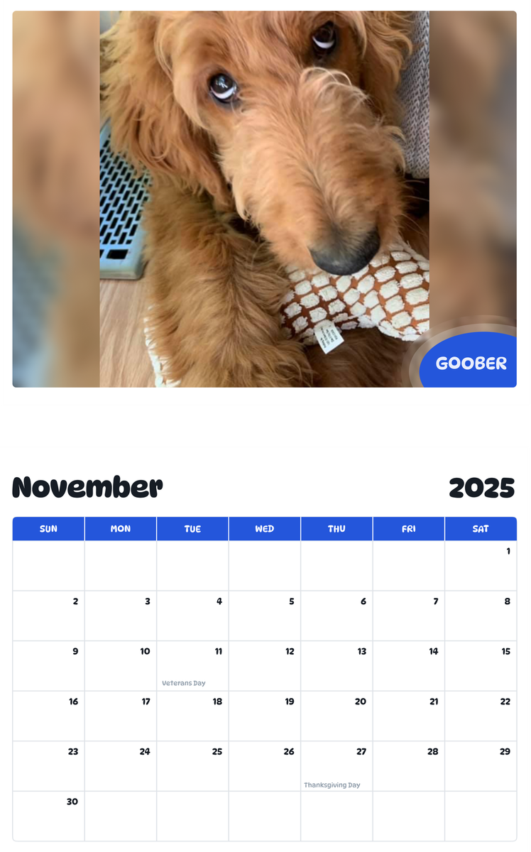 July 2025 - June 2026 Goober - Pawidols Pet Calendar