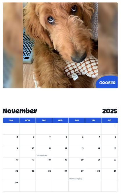 July 2025 - June 2026 Goober - Pawidols Pet Calendar