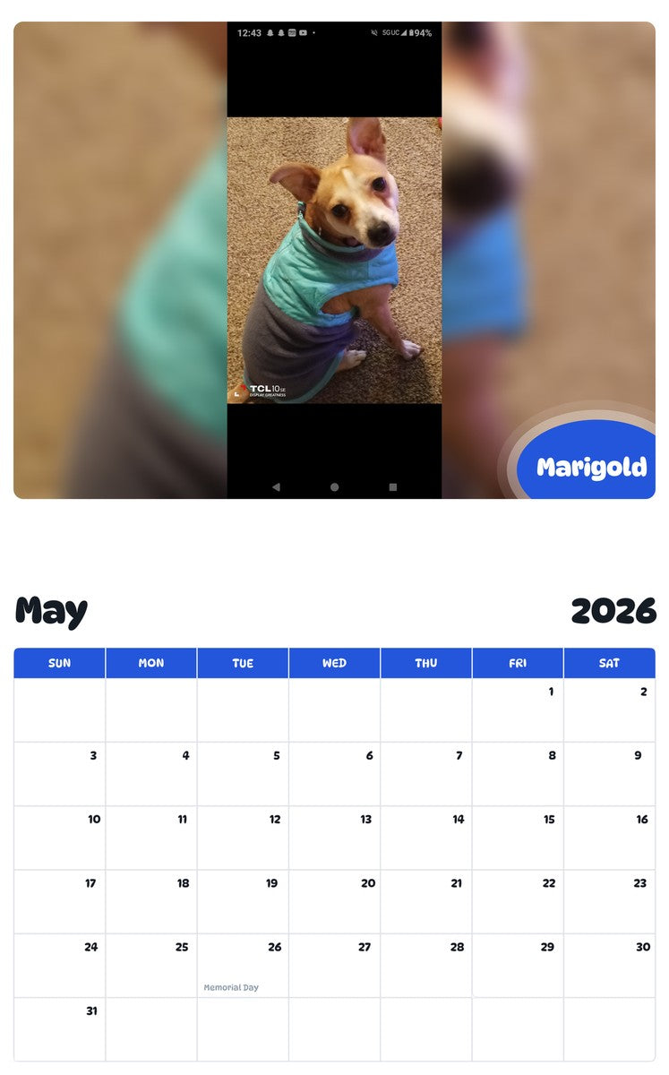 2026 - 2027 Marigold - Pawidols Pet Calendar