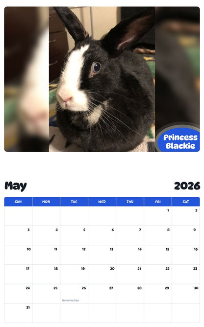 2026 - 2027 Princess Blackie - Pawidols Pet Calendar