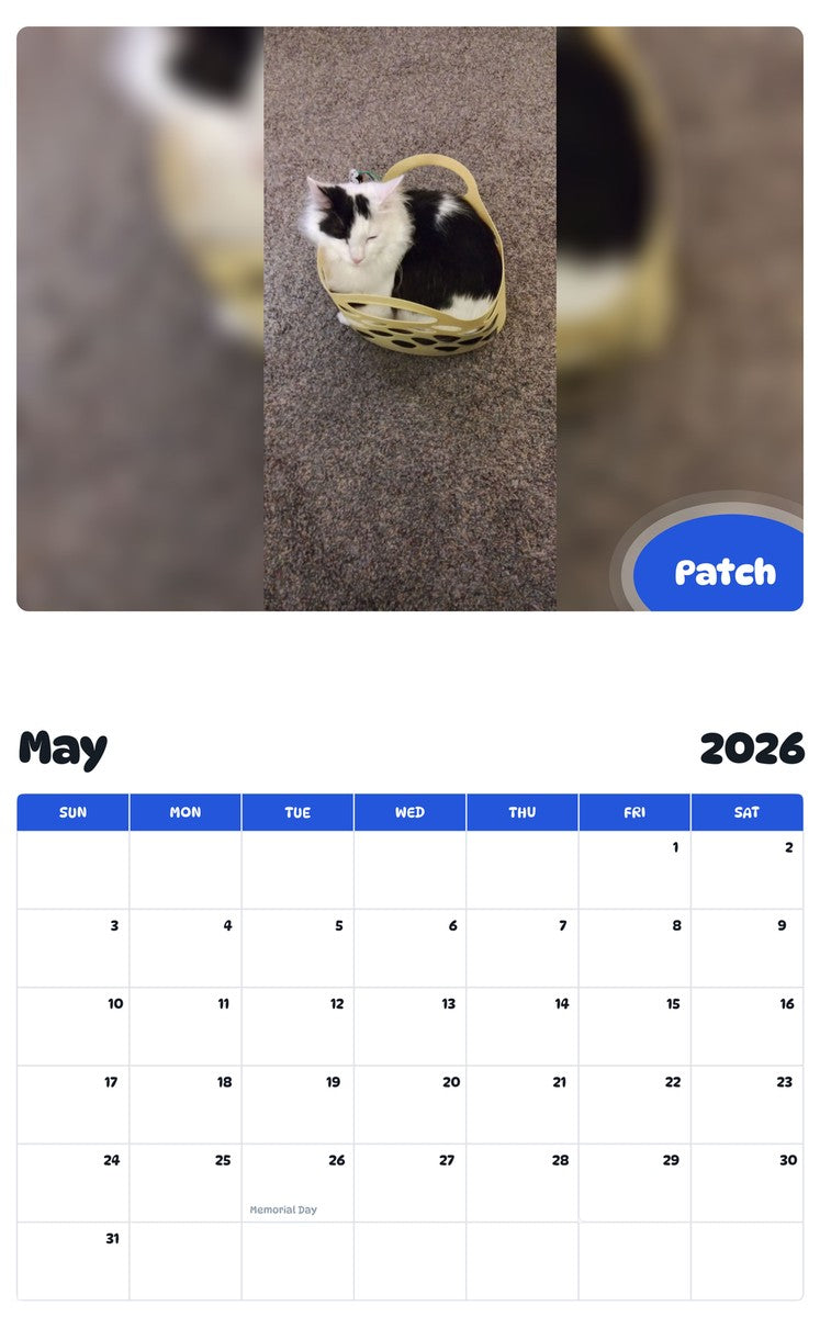 2026 - 2027 Patch - Pawidols Pet Calendar