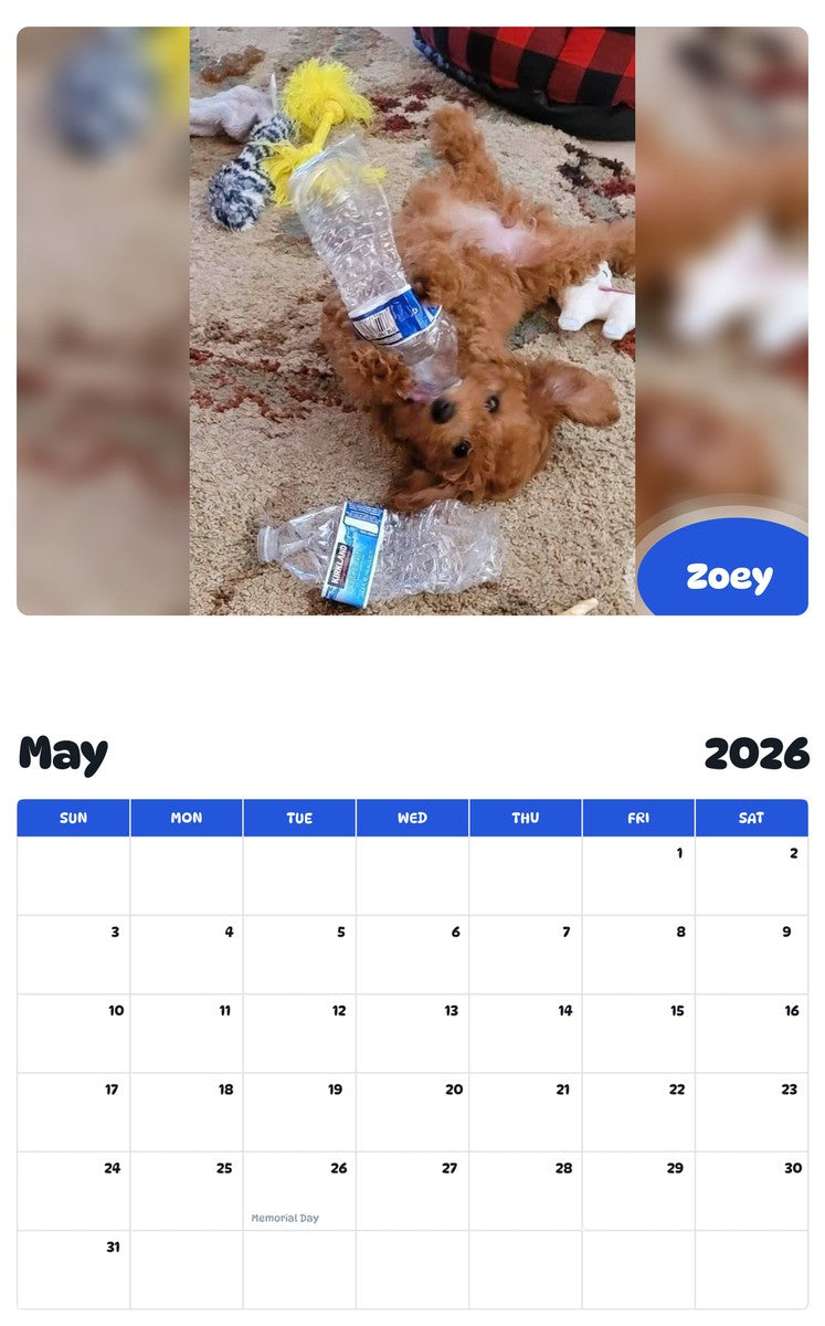 2026 - 2027 Zoey - Pawidols Pet Calendar